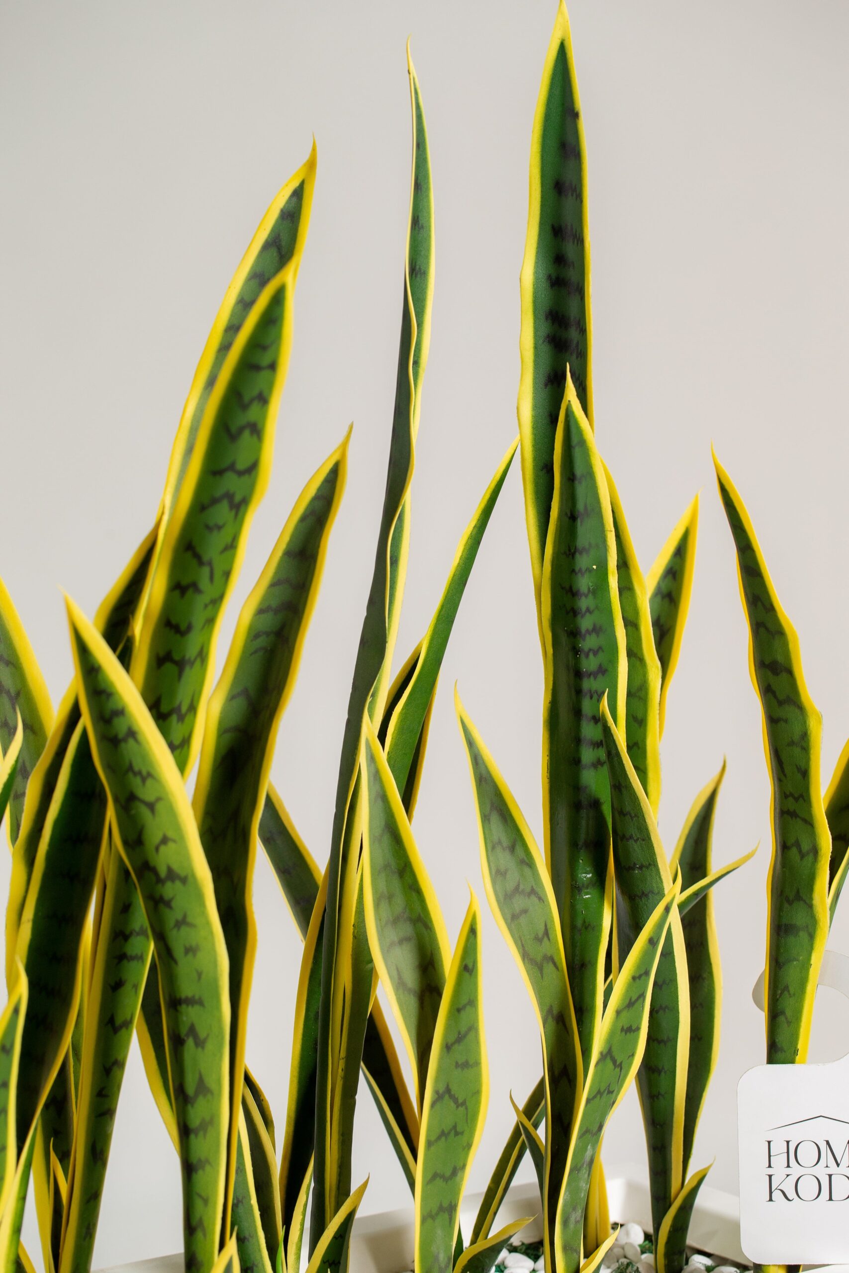 Artificial Sansevieria Laurentii Potted Plant (145CM) - Image 2