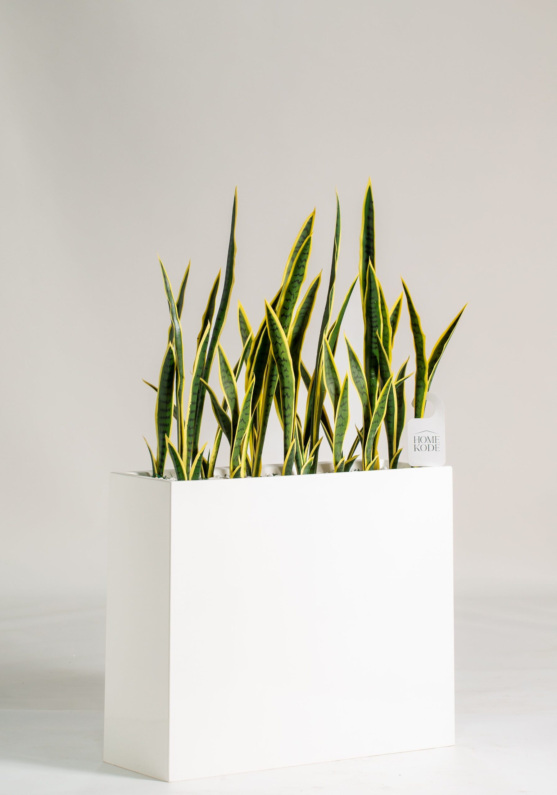 Artificial Sansevieria Laurentii Potted Plant (145CM) - Image 4