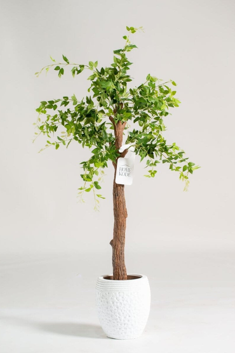 Celtis Australis Artificial Plant (180CM)