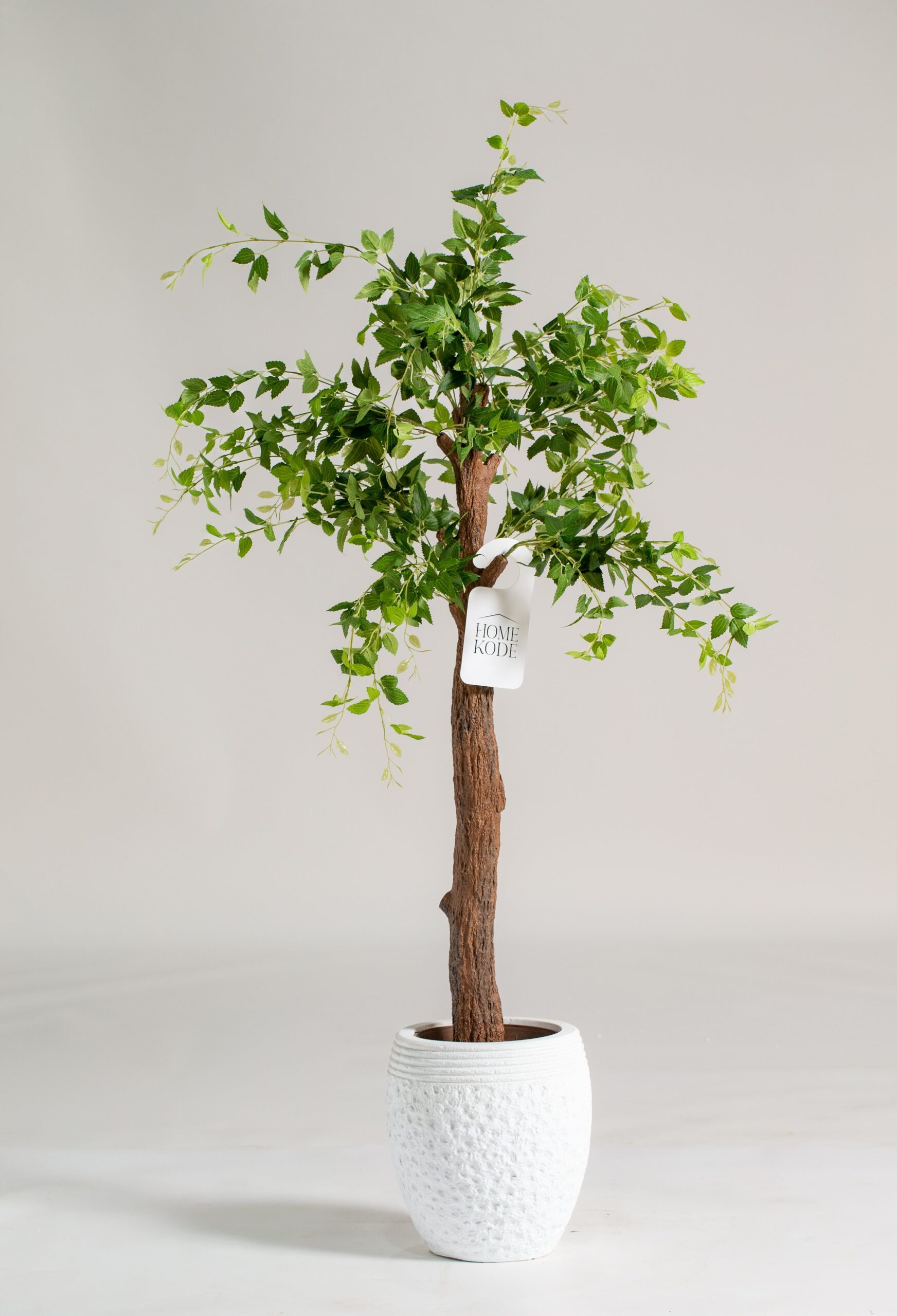 Celtis Australis Artificial Plant (180CM) - Image 4