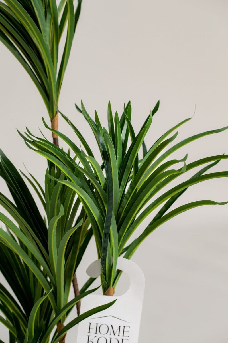 Dracaena Artificial Plant (150CM) - Image 2