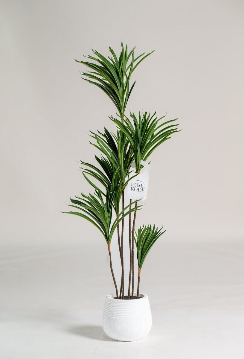 Dracaena Artificial Plant (150CM) - Image 4