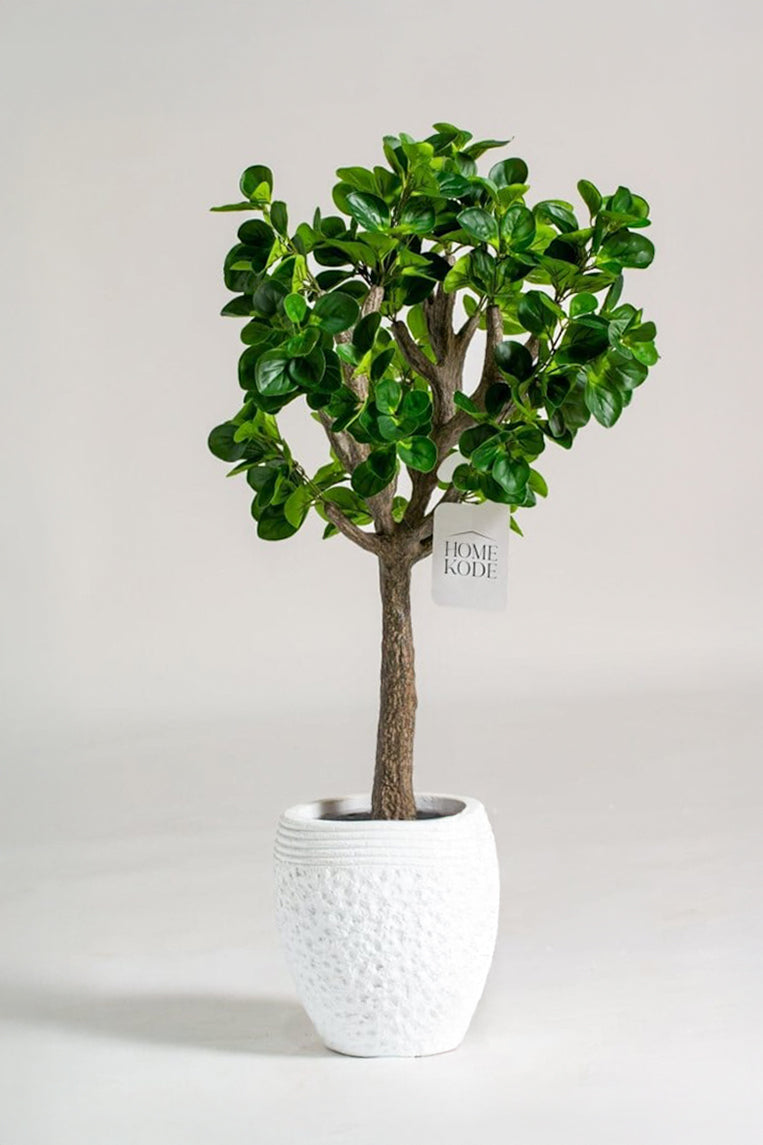 Baby Rubber Artificial Plant (150CM)