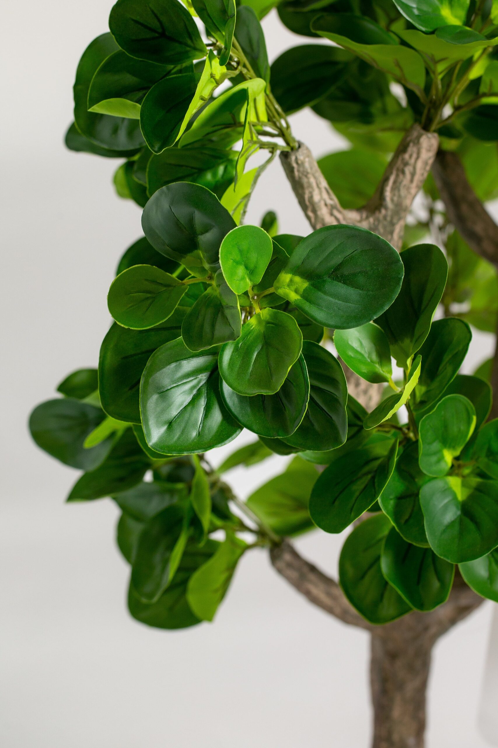 Baby Rubber Artificial Plant (150CM) - Image 3