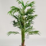 Areca Palm Artificial Plant (110CM)