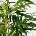 Areca Palm Artificial Plant (110CM)