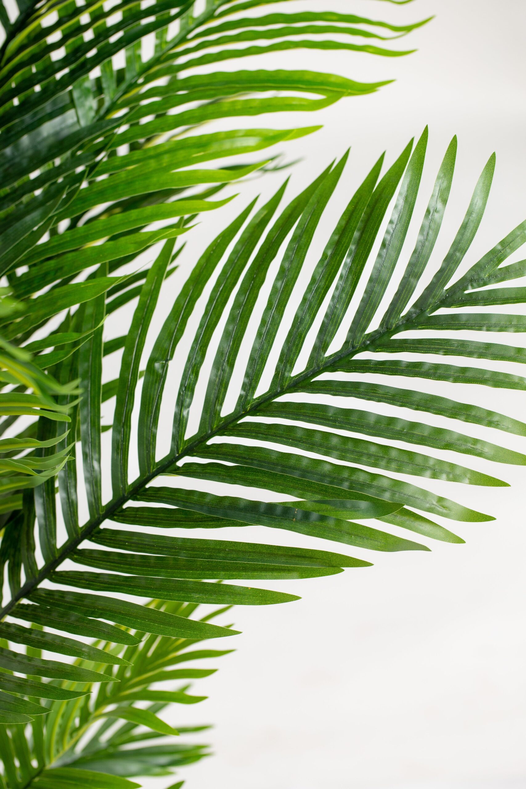 Areca Palm Artificial Plant (140CM) - Image 4