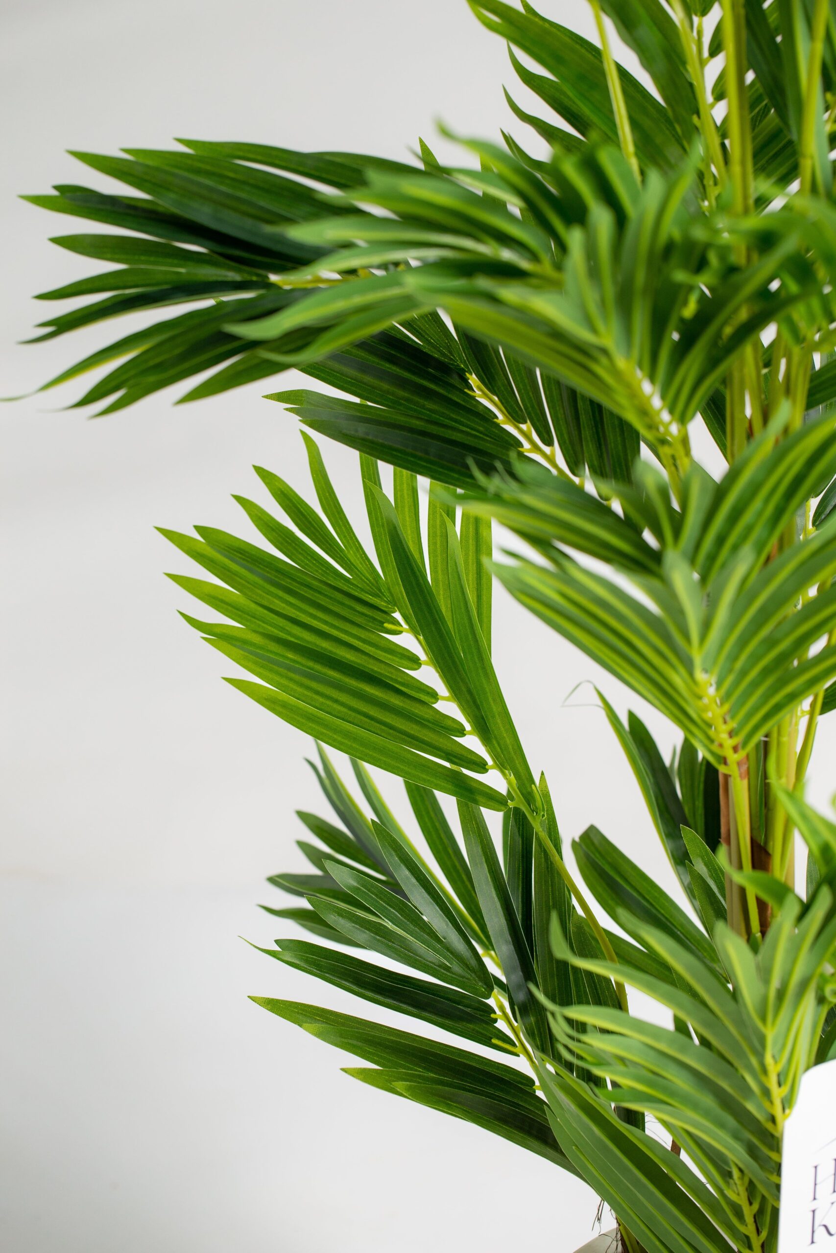 Areca Palm Artificial Plant (150CM) - Image 3