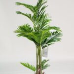 Areca Palm Artificial Plant (170CM)