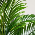 Areca Palm Artificial Plant (170CM)