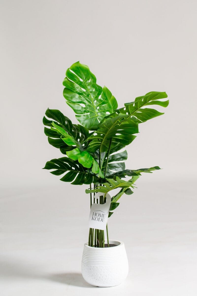 Swiss Cheese Artificial Plant (145CM)