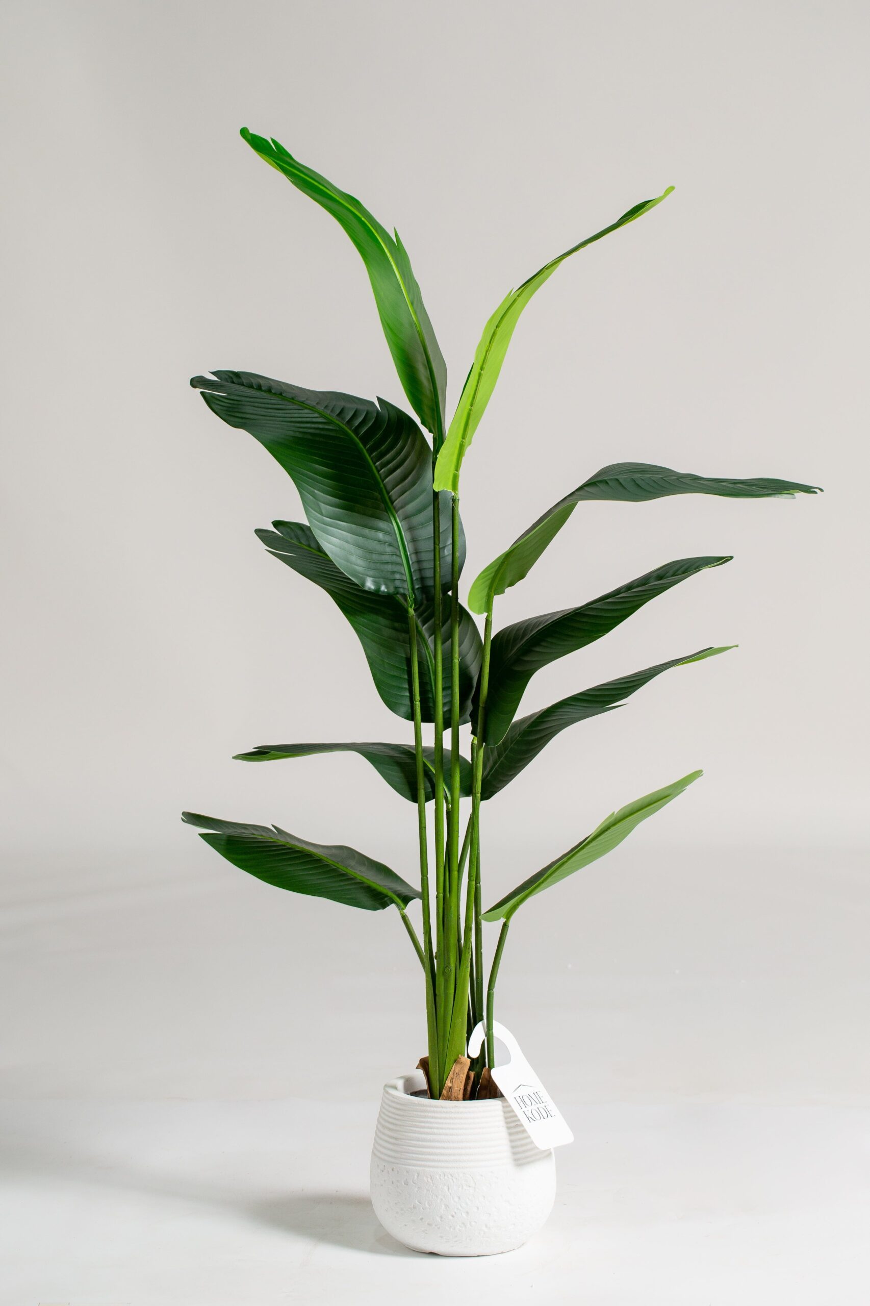Strelitzia Nicolai Artificial Plant (160CM) - Image 4