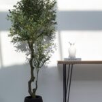 Artificial Olive Tree With Olives (220CM)