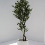 Artificial Olive Tree With Olives (220CM)