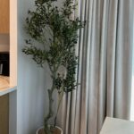 Artificial Olive Tree With Olives (220CM)