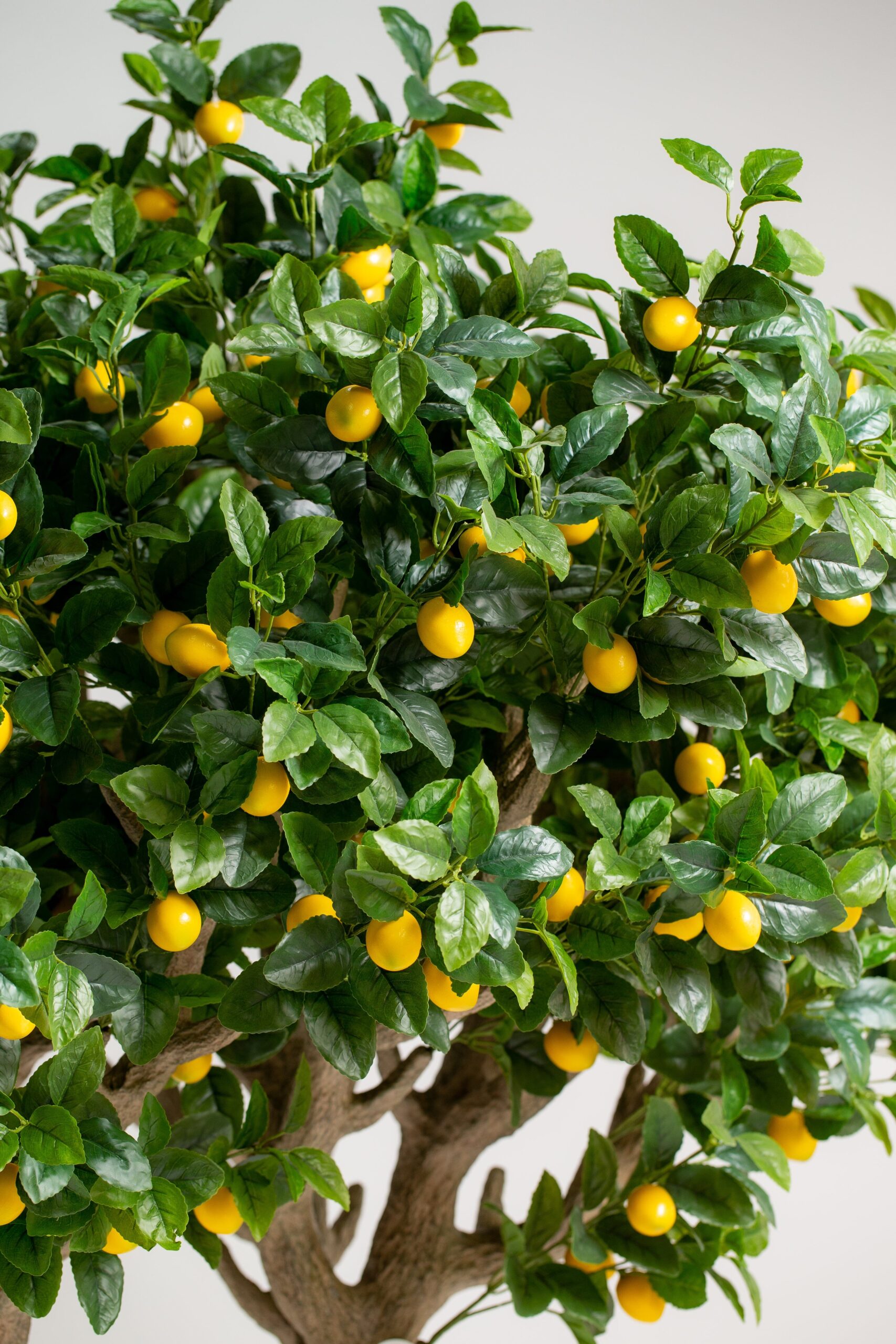 Lemon Tree Artificial Plant (210CM) - Image 3