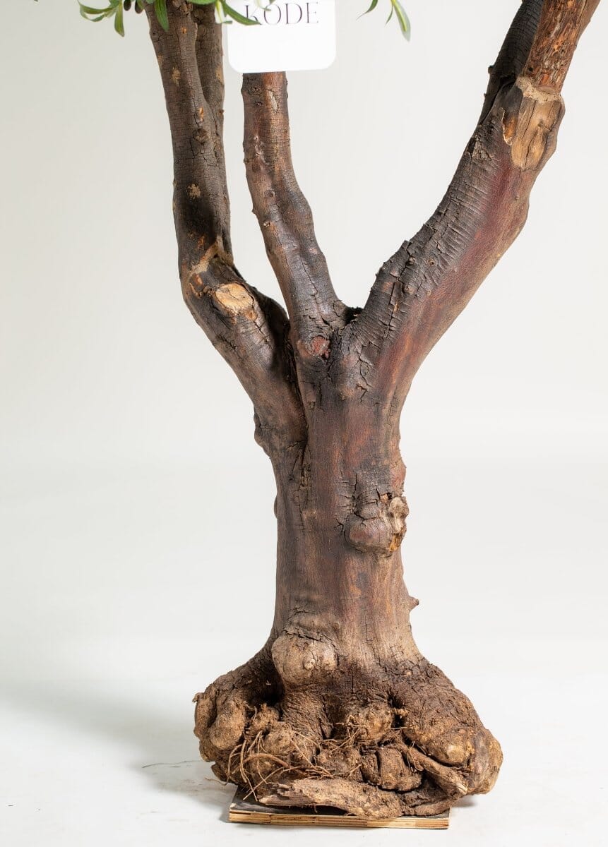 Natural Trunk Olive Tree with Artificial Leaves - Image 3