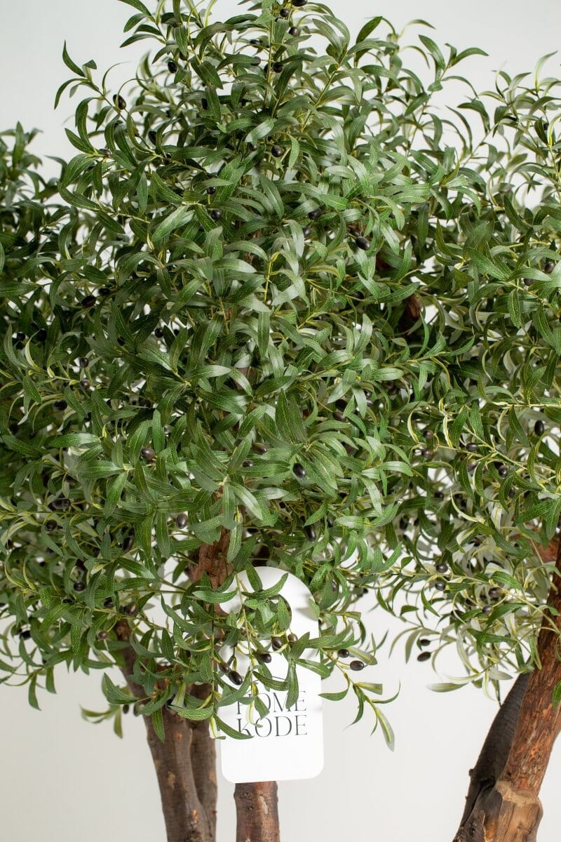 Natural Trunk Olive Tree with Artificial Leaves - Image 4