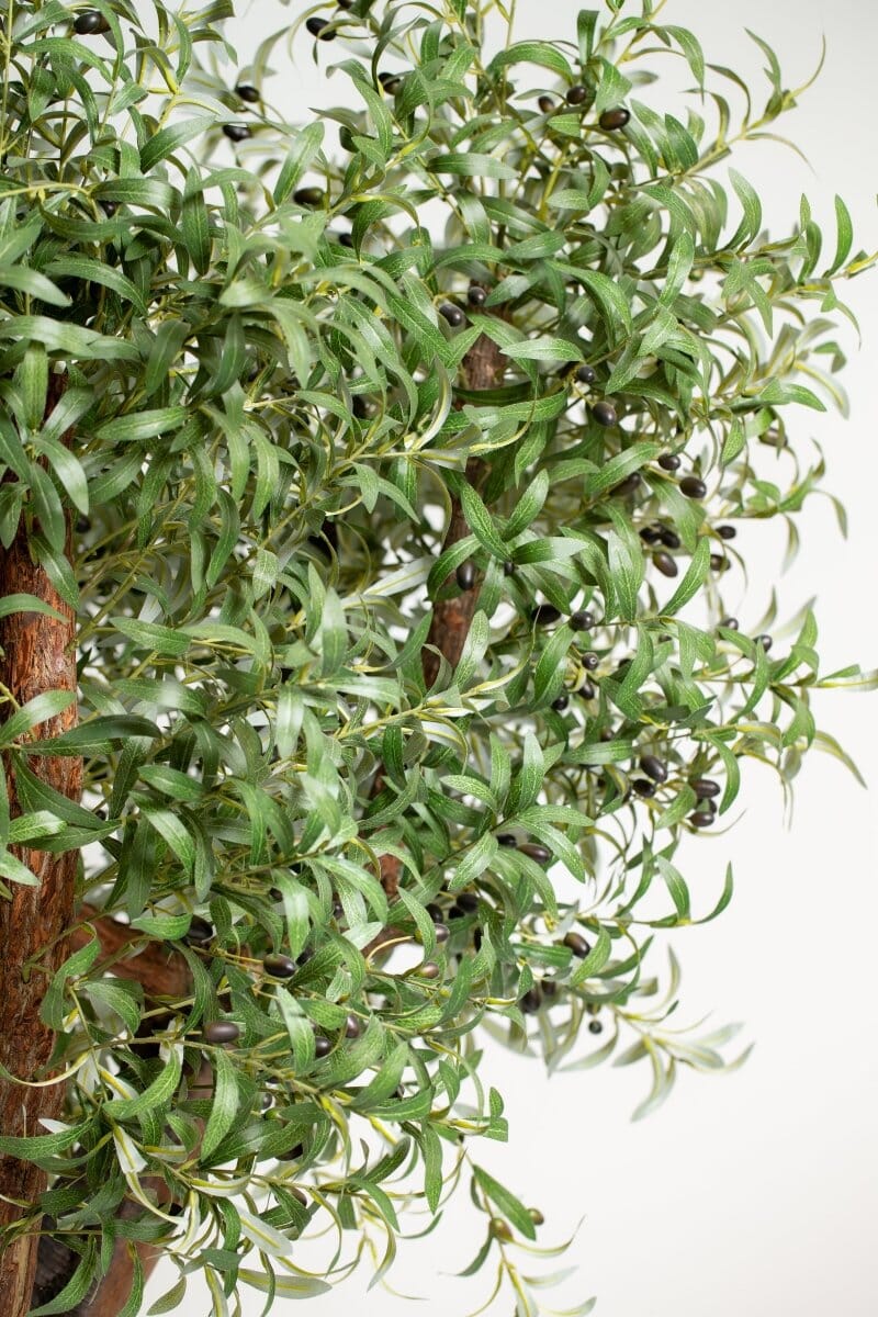 Natural Trunk Olive Tree with Artificial Leaves - Image 5