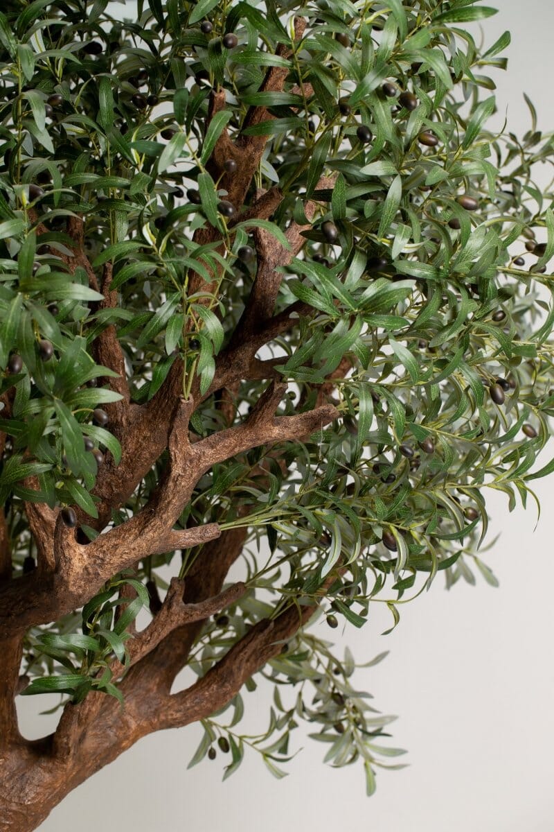 Artificial Olive Tree with Curving Trunk (300CM) - Image 2