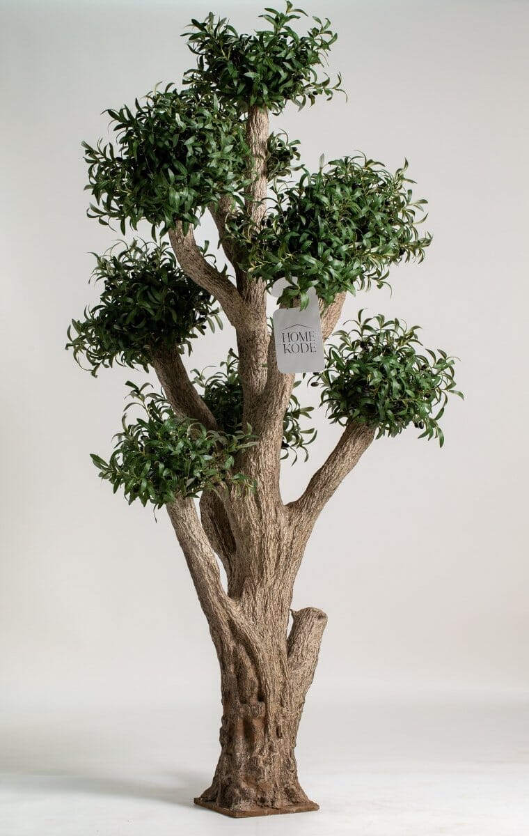 Natural Trunk Olive Tree with Artificial Leaves (300CM) - Image 2