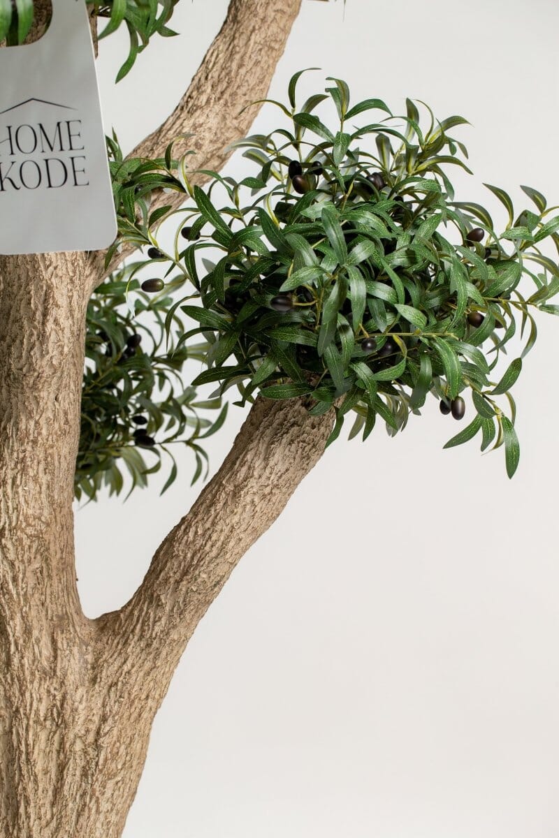 Natural Trunk Olive Tree with Artificial Leaves (300CM) - Image 3
