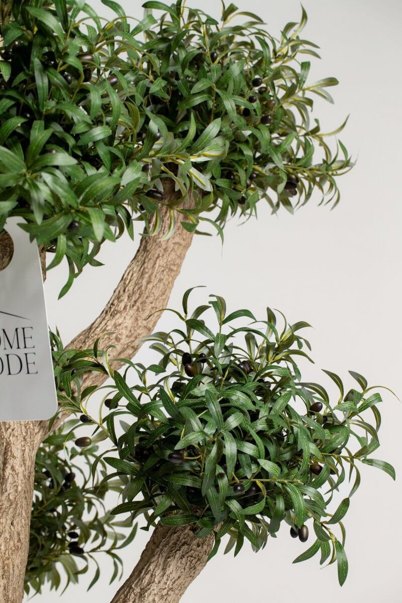 Natural Trunk Olive Tree with Artificial Leaves (300CM) - Image 4