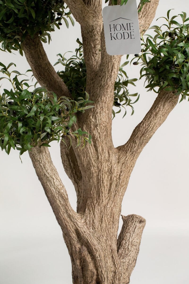 Natural Trunk Olive Tree with Artificial Leaves (300CM) - Image 5
