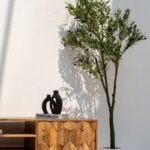 Nova Wooden Two Door TV Unit