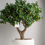 Zuno White Fiber Pot