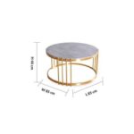 Armadillo Coffee Table-Grey/Gold