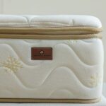 Rejuvenate Pillow Top Bonnell Spring Single Mattress - Foam Encased Edge Support - 120x200x30 cm - With 5-Year Warranty