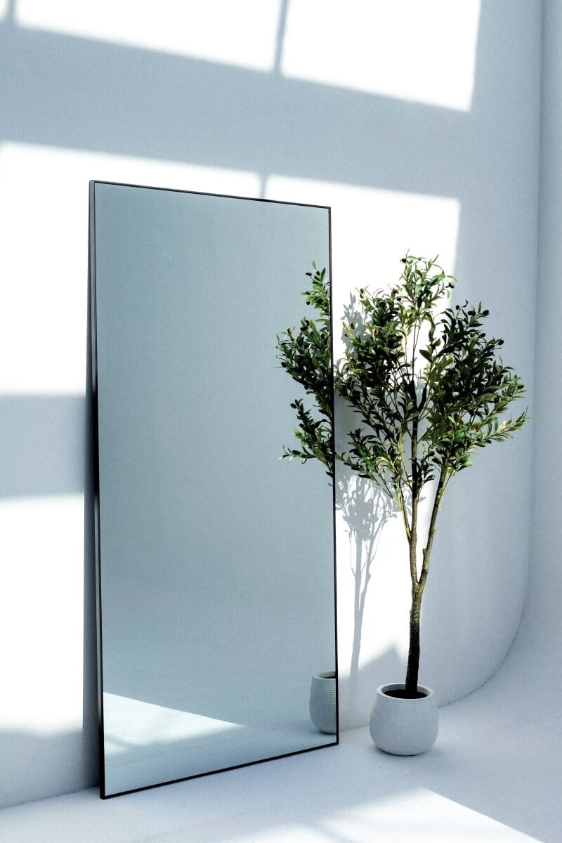 Zara Full Length Black Rectangular Mirror - Image 6