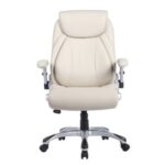 Tyrell High Back Office Chair - Beige - With 2-Year Warranty