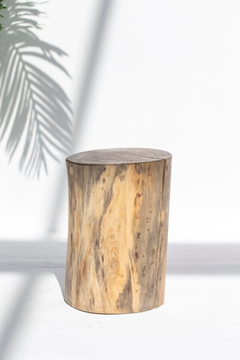 Seliana Tree Stump Side Table