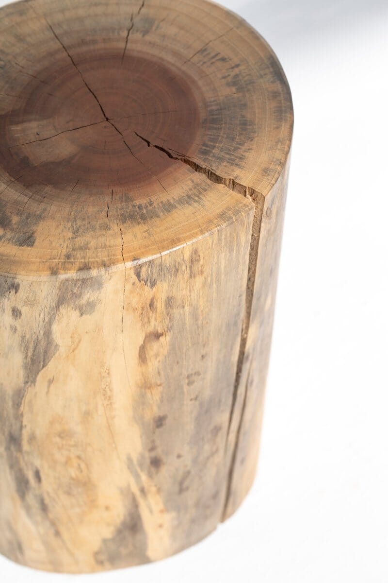 Seliana Tree Stump Side Table - Image 2