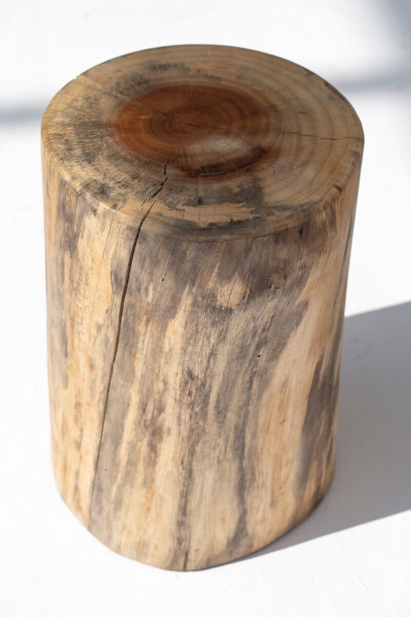 Seliana Tree Stump Side Table - Image 3