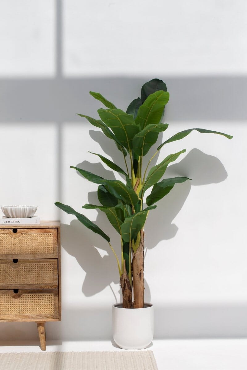 White Round Pot - Image 2