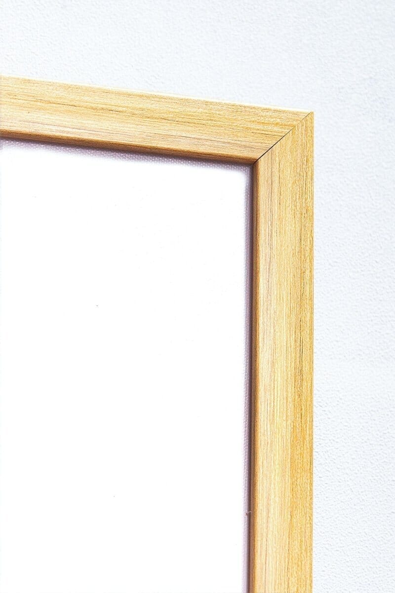 Botanical Plant Silhouette Wall Art IV - Image 5