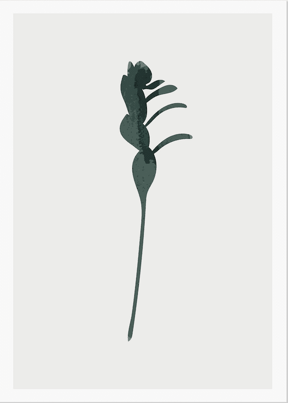 Tropical Leaf Illustration III - Image 2