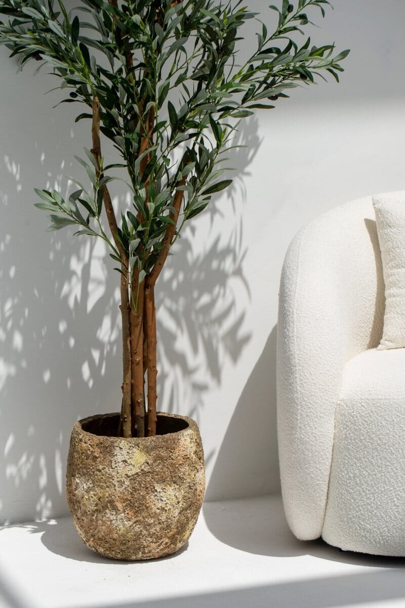 Mustard Rustic Pot
