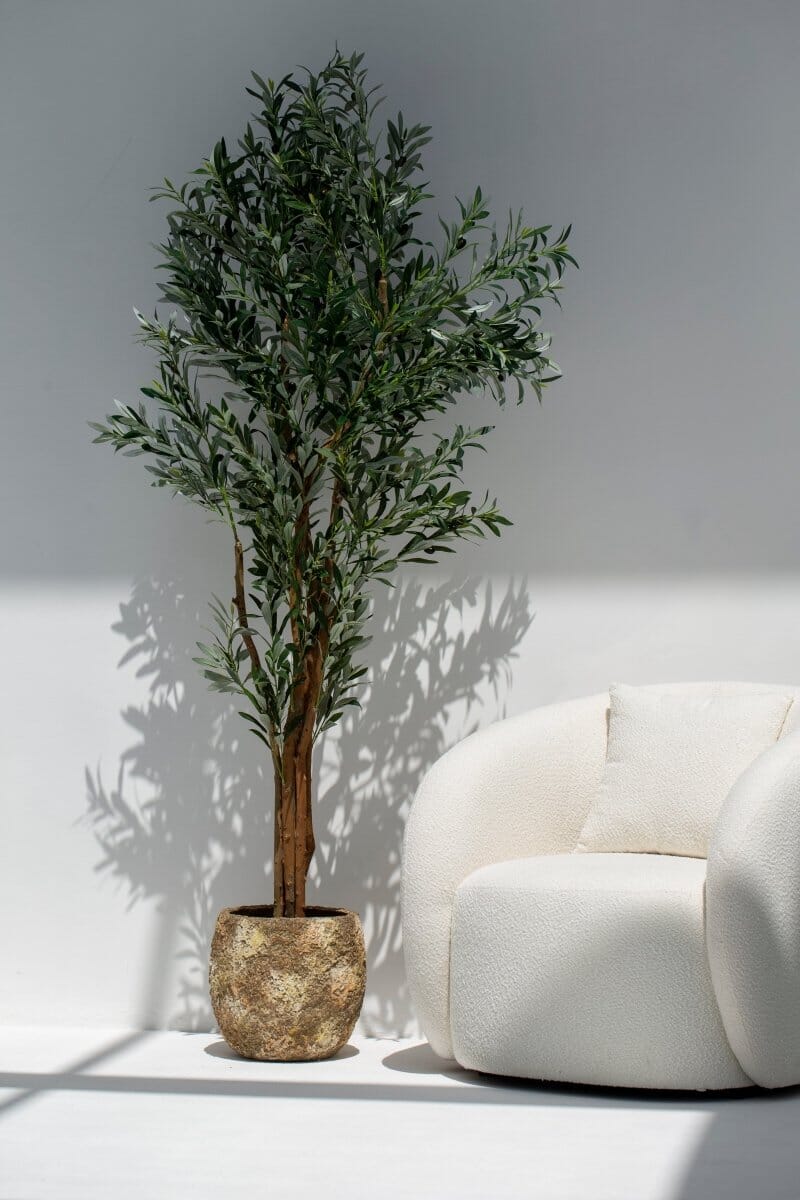 Mustard Rustic Pot - Image 4