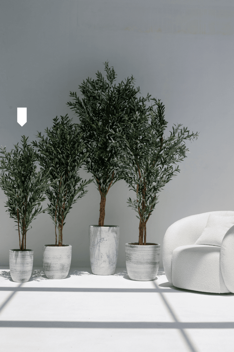 Artificial Olive Tree with Natural Wood Trunk (160CM) - Image 2