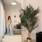 Artificial Olive Tree with Natural Wood Trunk (160CM)