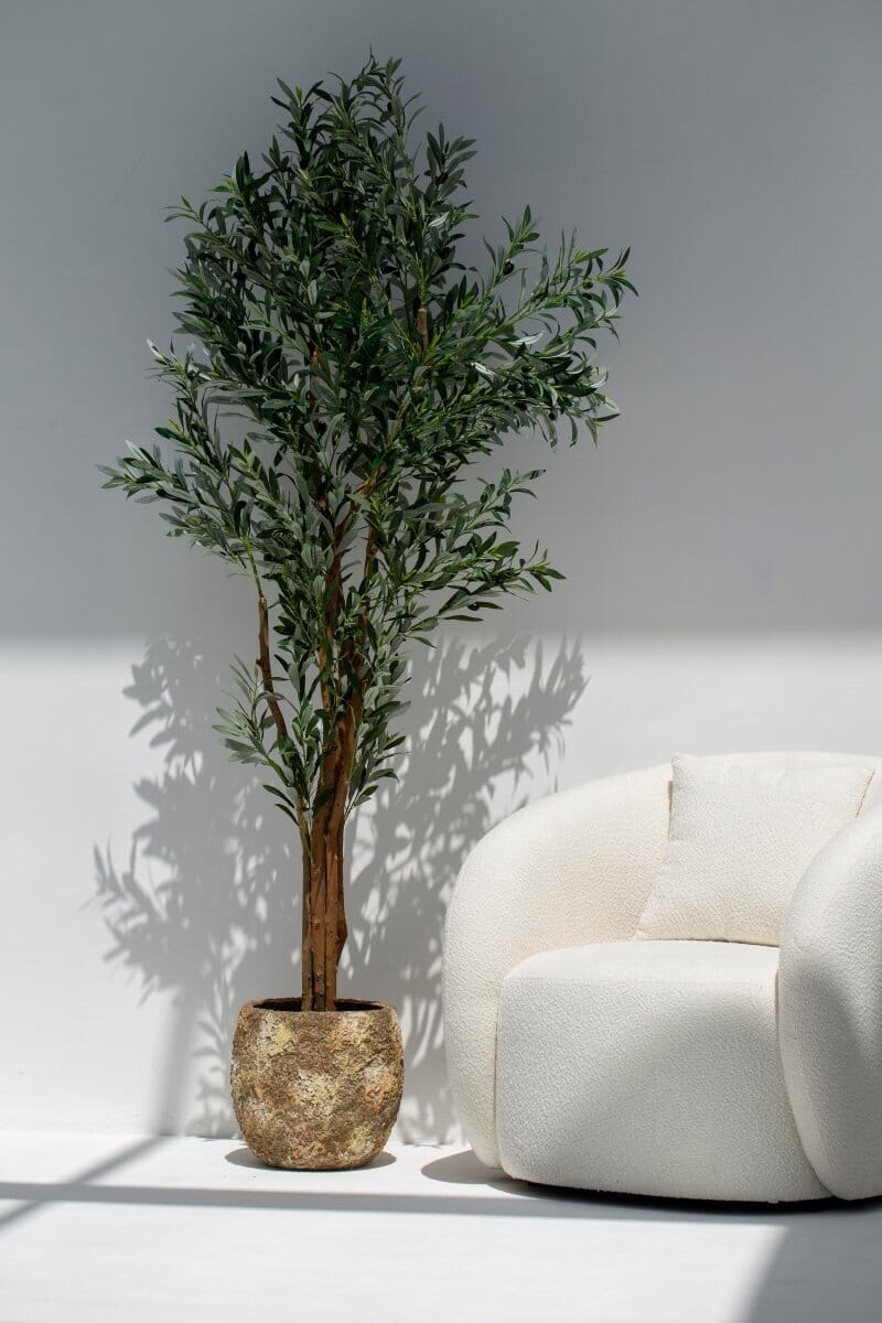 Artificial Olive Tree with Natural Wood Trunk (210CM)