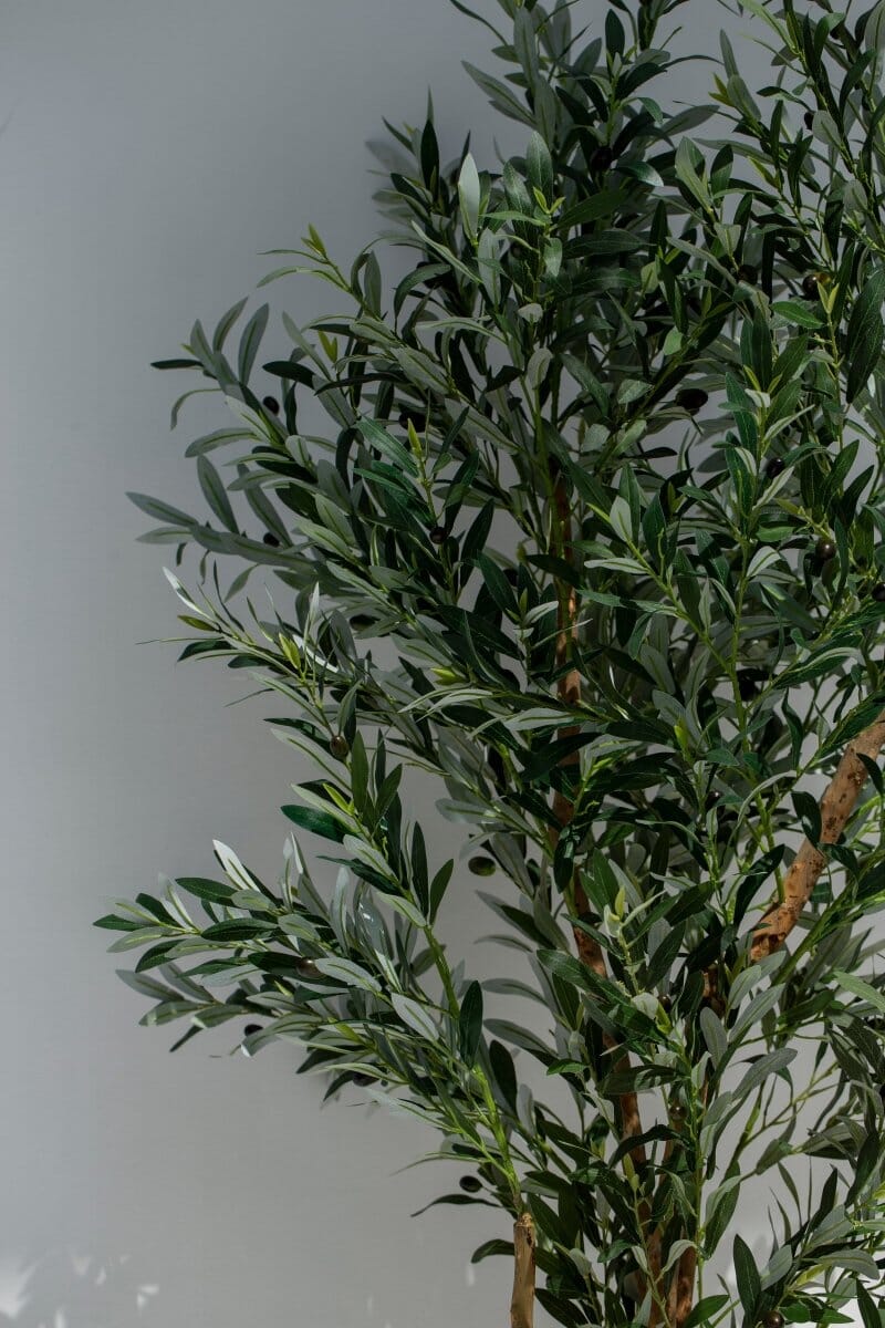 Artificial Olive Tree with Natural Wood Trunk (210CM) - Image 4