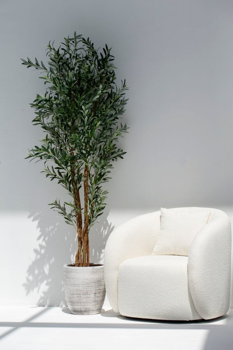 Artificial Olive Tree with Natural Wood Trunk (210CM) - Image 5