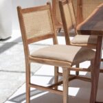 Demetria Rattan Dining Chair