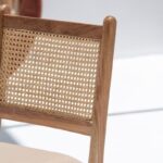 Demetria Rattan Dining Chair