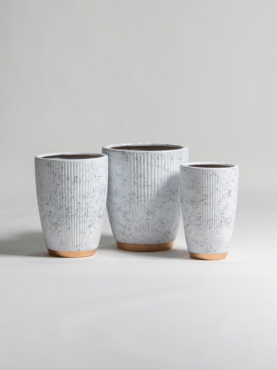 Gilded Groove Ceramic Pot